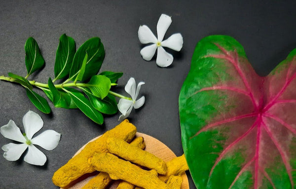 Traditional Hawaiian Healing - the Art and Practice of Lā'au Lapa'au - Honua Hawaiian Skincare