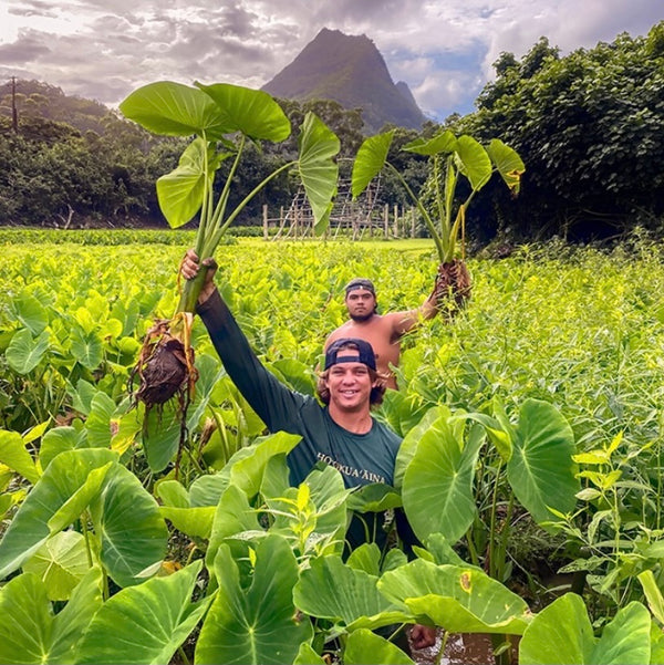 two Hawaiians in a Hawaiian taro field with mountain in background