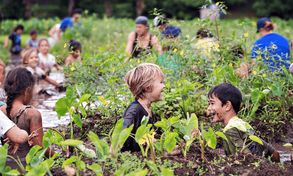 Honua Sustainability Partners - Honua Hawaiian Skincare